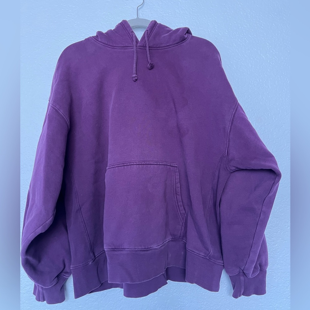 Aritzia TNA boyfriend hoodie